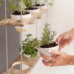 18 estupendas ideas para colgar tus plantas