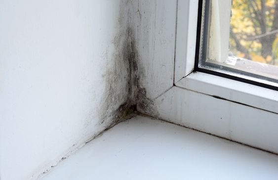 Cómo eliminar las humedades en las paredes con vinagre blanco