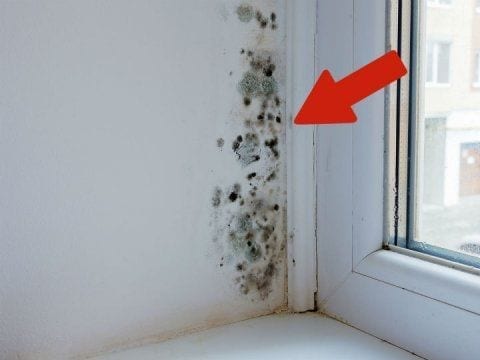 Tips para evitar humedad en las paredes de tu casa