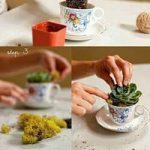 Ideas para decorar tu hogar con cactus miniatura (12)