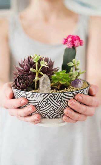 Ideas para decorar tu hogar con cactus miniatura (7)