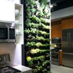 como renovar la cocina agregando plantas (4)