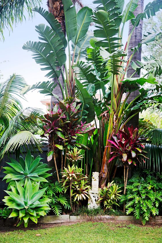 Jardines tropicales
