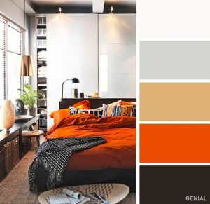 Colores de interiores de casas modernas