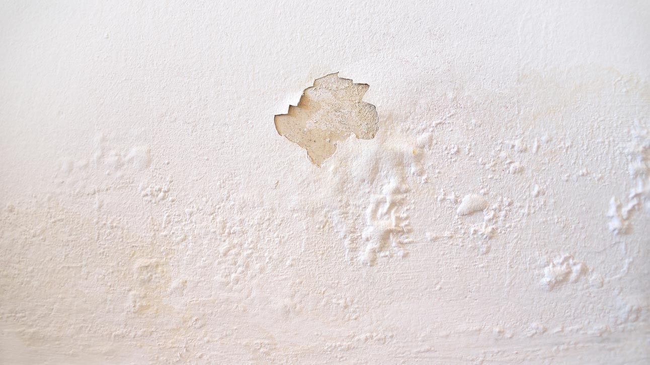 Tips para eliminar hongos de paredes