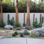 Jardín estilo desierto