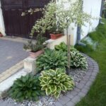 Ideas de jardín para fachada de casa pequeña