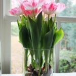Como poner los tulipanes en un jarrón