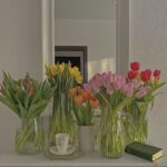 ¿Cuánto tiempo florecen los tulipanes?