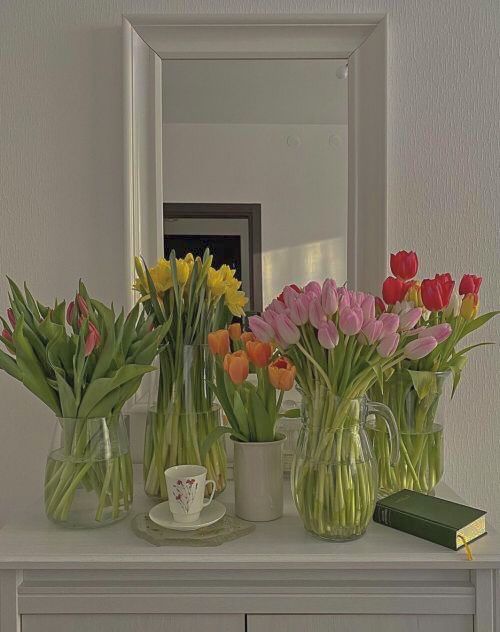 ¿Cuánto tiempo florecen los tulipanes?